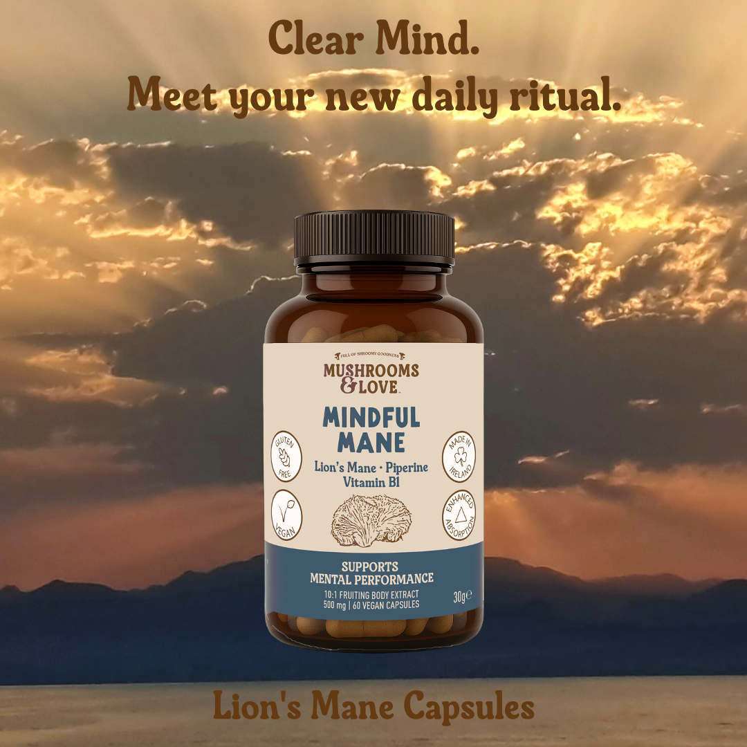 Mindful Mane - Lion's Main Capsules