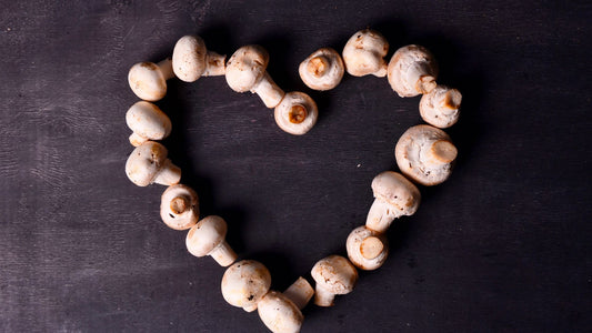 Mushrooms and Heart Health: A Perfect Pairing