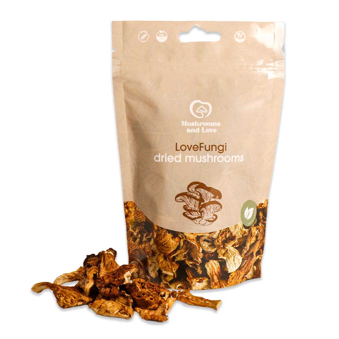 LoveFungi – Dried Mushrooms