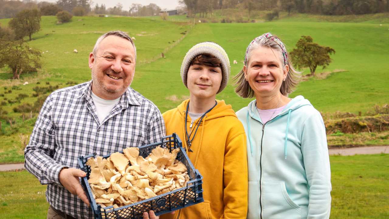 Mushrooms_Love_-_ Richard Francis , Sophy Francis , Daniel Francis