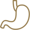 Digestion Icon